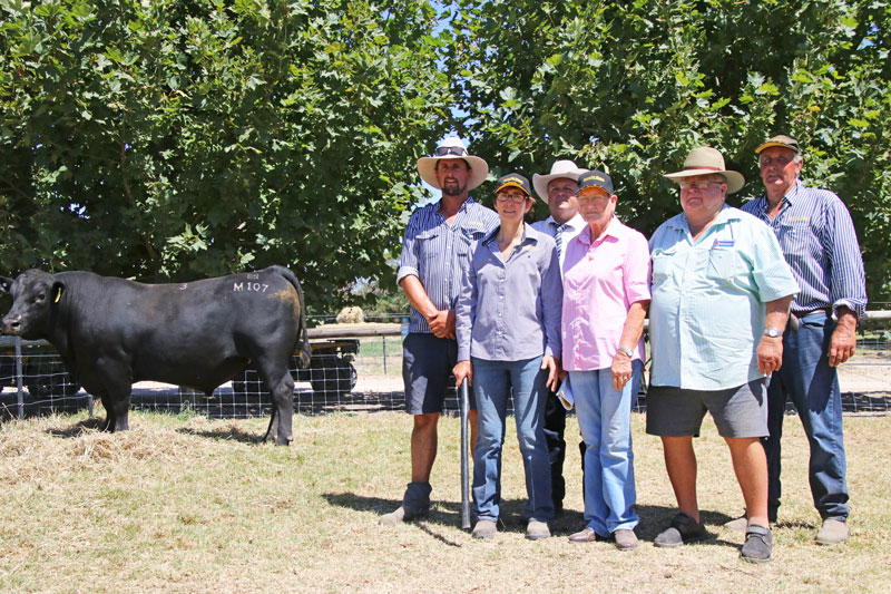 2018 Top Price Bull at Granite Ridge Angus Sale