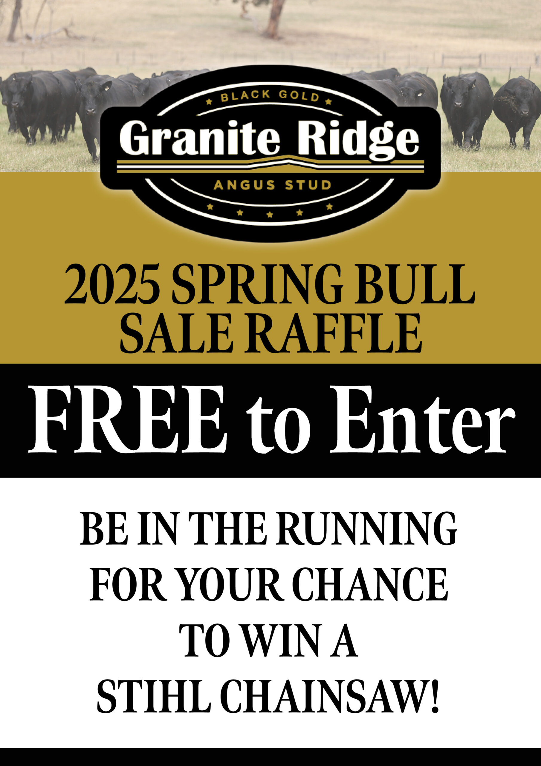 2025Granite Ridge Spring Angus Raffle - Poster for web