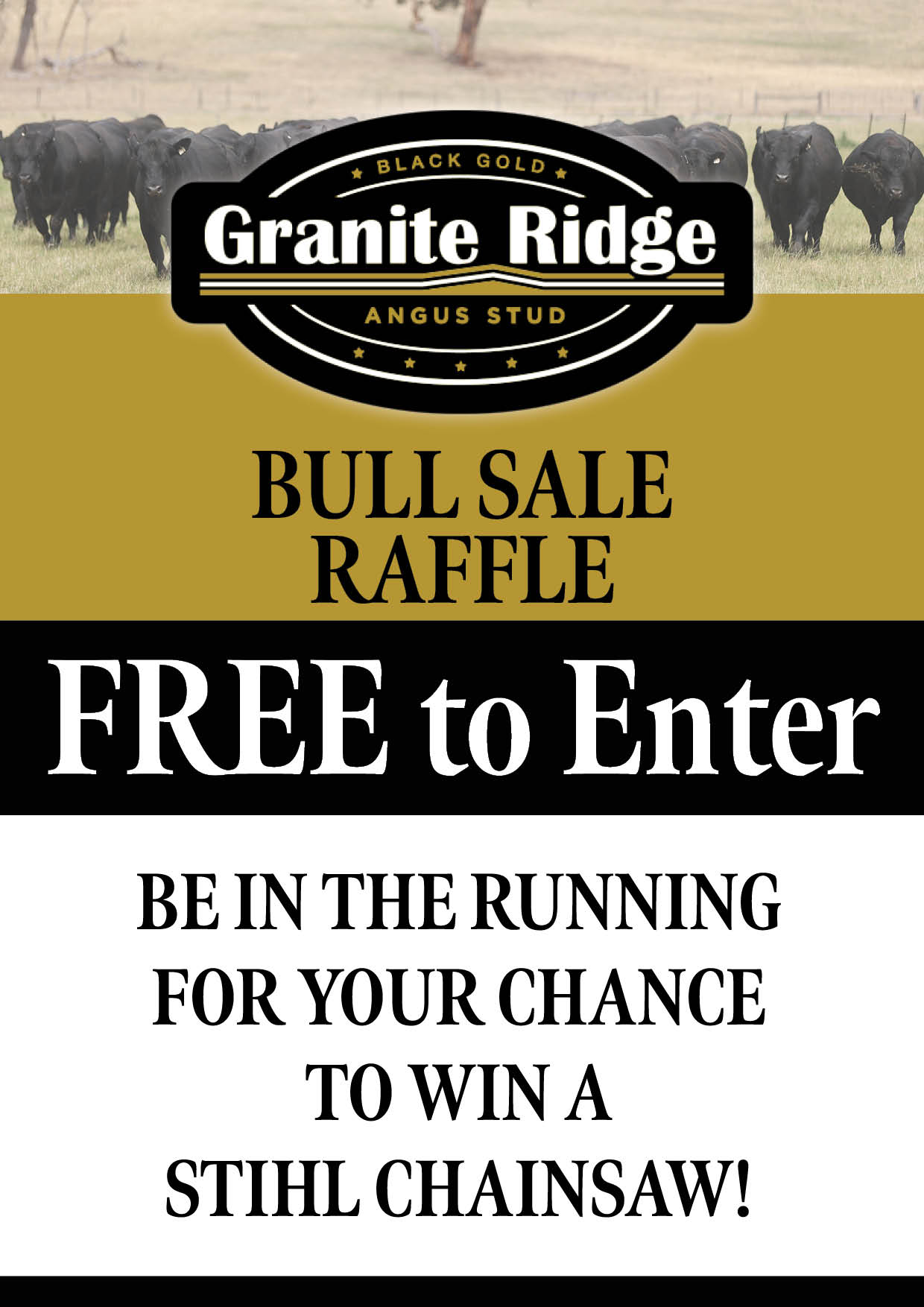 Granite Ridge Angus Raffle - Poster for web - Chainsaw